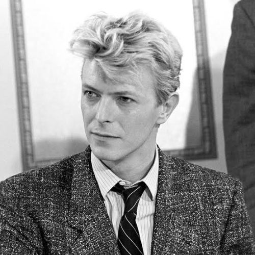 david